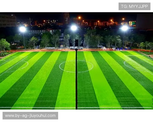 深入探讨青岛足球场整体环境条件与观赛体验优势全面综合评析探究